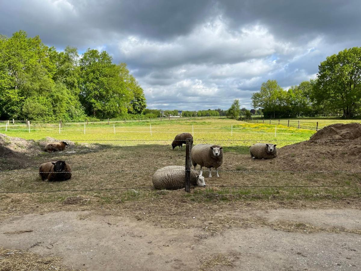Familiehuis Voor 13 Personen Diever Extérieur photo